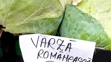 Samsarii din piețe au ridicat prețul Cu câți lei se vinde 1 kg de varză românească, acum, la sfârșit de noiembrie