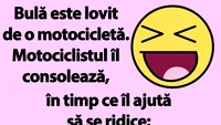 BANC | Bulă este lovit de o motocicletă
