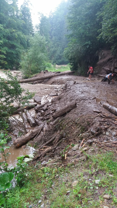 20 de turiști blocați pe Valea Cernatului, după ce drumul a fost rupt de aluviuni. Imagini apocaliptice