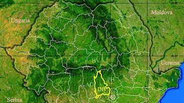 Rezultate Evaluarea Națională 2019 (Capacitate) Dâmbovița