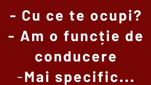 Bancul sfârșitului de săptămână | Funcție de conducere