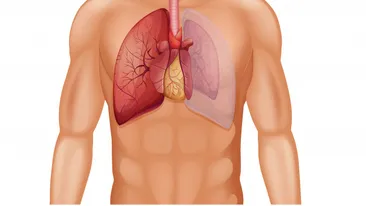 Care sunt simptomele pneumotoraxului