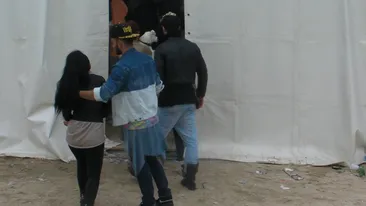 O celebra prezentatoare TV, pusa la zid de sustinatorii animalelor, dupa ce a facut ASTA cu cainele ei! “Nu e permis!”