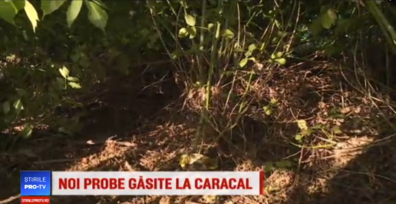 Imagini din pădurea în care Gheorghe Dincă a aruncat trupul Luizei. Detaliul șocant descoperit de anchetatori