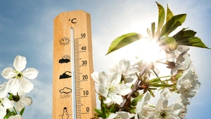 Prognoza meteo azi, 12 martie 2023. Sudul României se bucură de temperaturi de până la 16 grade