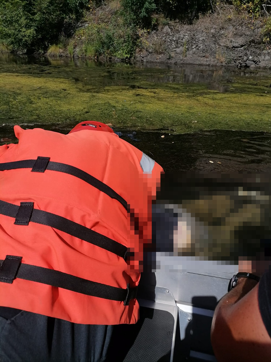 Cadavrul din râul Olt. Sursă foto: IPJ Vâlcea