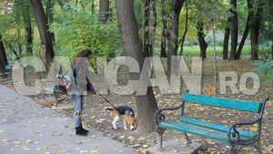 Cine este cel care o face fericită pe AMI! "Nu prea reuşim să ne înţelegem, dar ne iubim!”