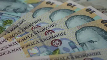 S-a furat... darul! Acesta a fost strigatul de disperare al unor miri din Constanta