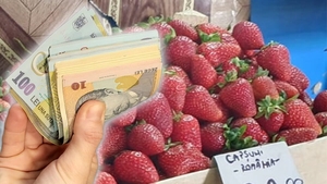 Mai scumpe decât carnea! Câți lei a ajuns 1 kg de capșuni în piețele din România