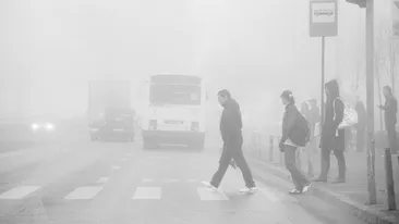 Avertizare COD GALBEN de ceata in patru judete