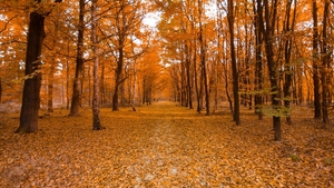 Prognoza meteo pentru următoarele două săptămâni. Cum va fi vremea în fiecare regiune