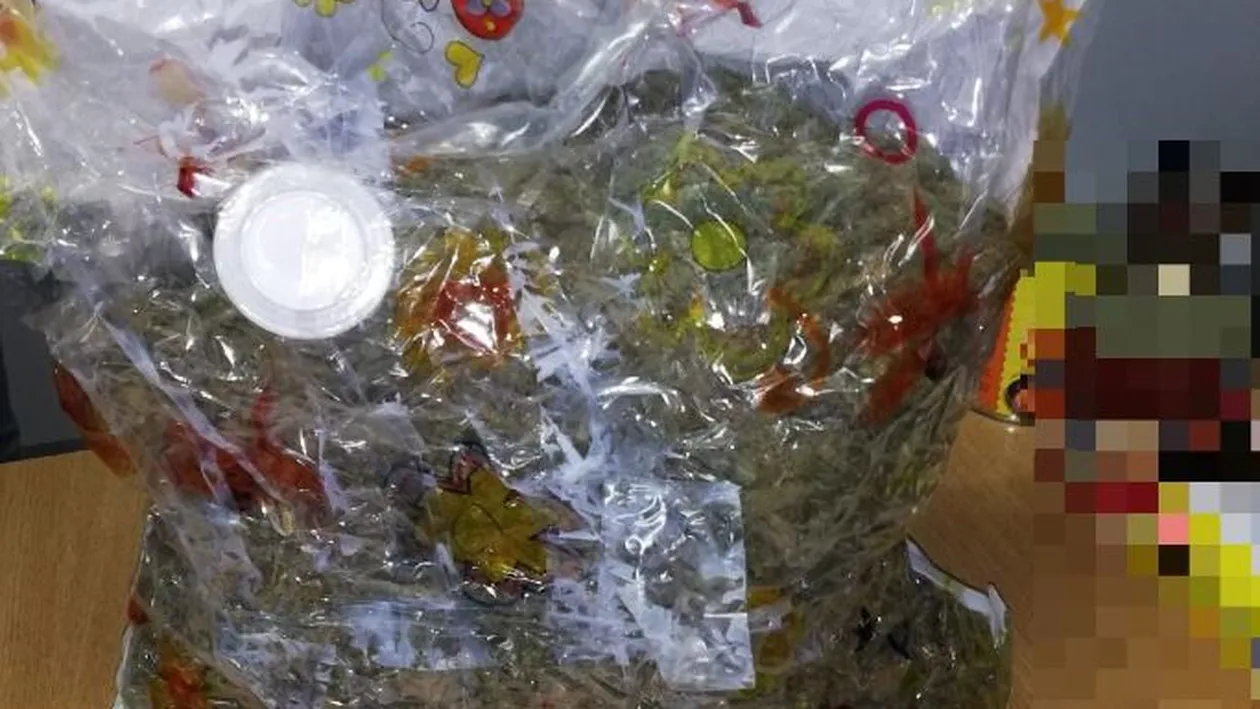Trei kilograme de cannabis, descoperite într-un colet, în Făgăraș                                                                        