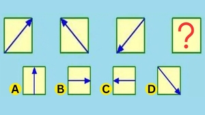 Test IQ exclusiv pentru genii | Care săgeată completează seria: A, B, C sau D?