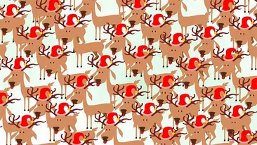 Test IQ de Crăciun | Care dintre renii lui Moș Crăciun e diferit de ceilalți?