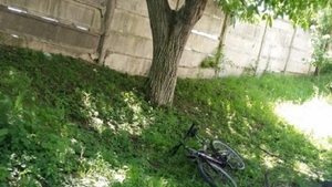 O clipă de neatenție i-a adus moartea! Un bărbat a decedat după ce s-a izbit cu bicicleta de un copac