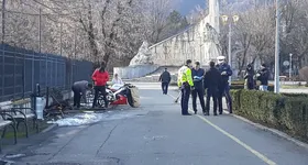 Galerie foto - poza 3