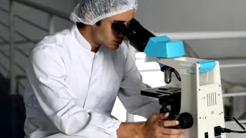 Există o „a treia stare” între viață și moarte. Cercetările celulare care au dus la descoperirea ei