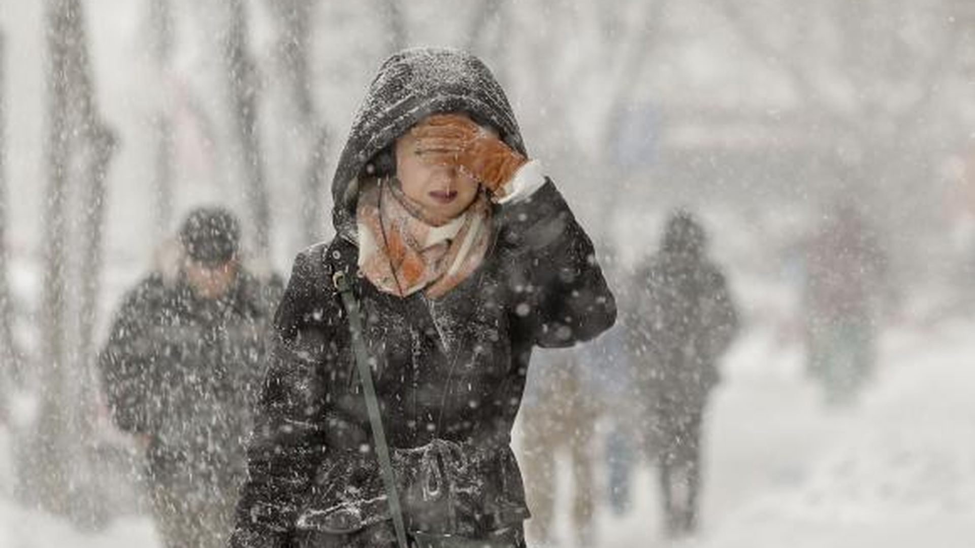 Avertizare ANM: Cod galben de ninsoare şi vânt în 17 judeţe. Temperaturi scăzute în toată ţara