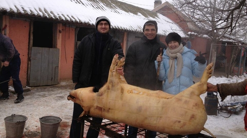 A sarbatorit Ignatul in avans. Vezi aici ce vedeta s-a fotografiat cu lopata in mana langa animalul pe care l-a sacrificat
