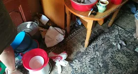 Galerie foto - poza 2