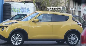 Galerie foto - poza 4