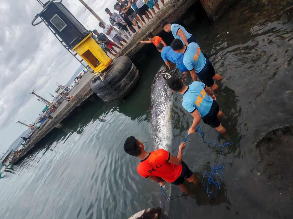sursă foto: Facebook: Coast Guard District Southeastern Mindanao
