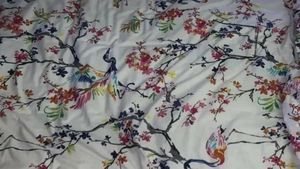 Iluzie optică virală | Găsiți ochelarii pierduți în această fotografie!