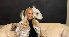 Galerie foto - poza 2