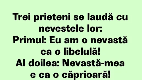 BANCUL ZILEI | 3 prieteni se laudă cu nevestele lor