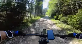 Galerie foto - poza 2