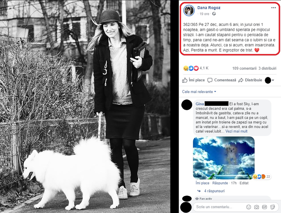 Însărcinată în 4 luni, Dana Rogoz este în doliu: “E îngrozitor de trist ?”