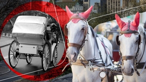 Turist de 18 ani, ucis într-un accident cu o trăsură trasă de cai în Central Park. Tragedia reaprinde controversa din jurul industriei din New York