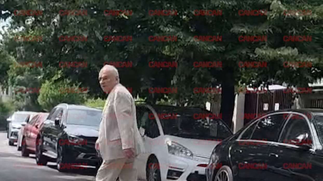 Gabriel Liiceanu traversează strada