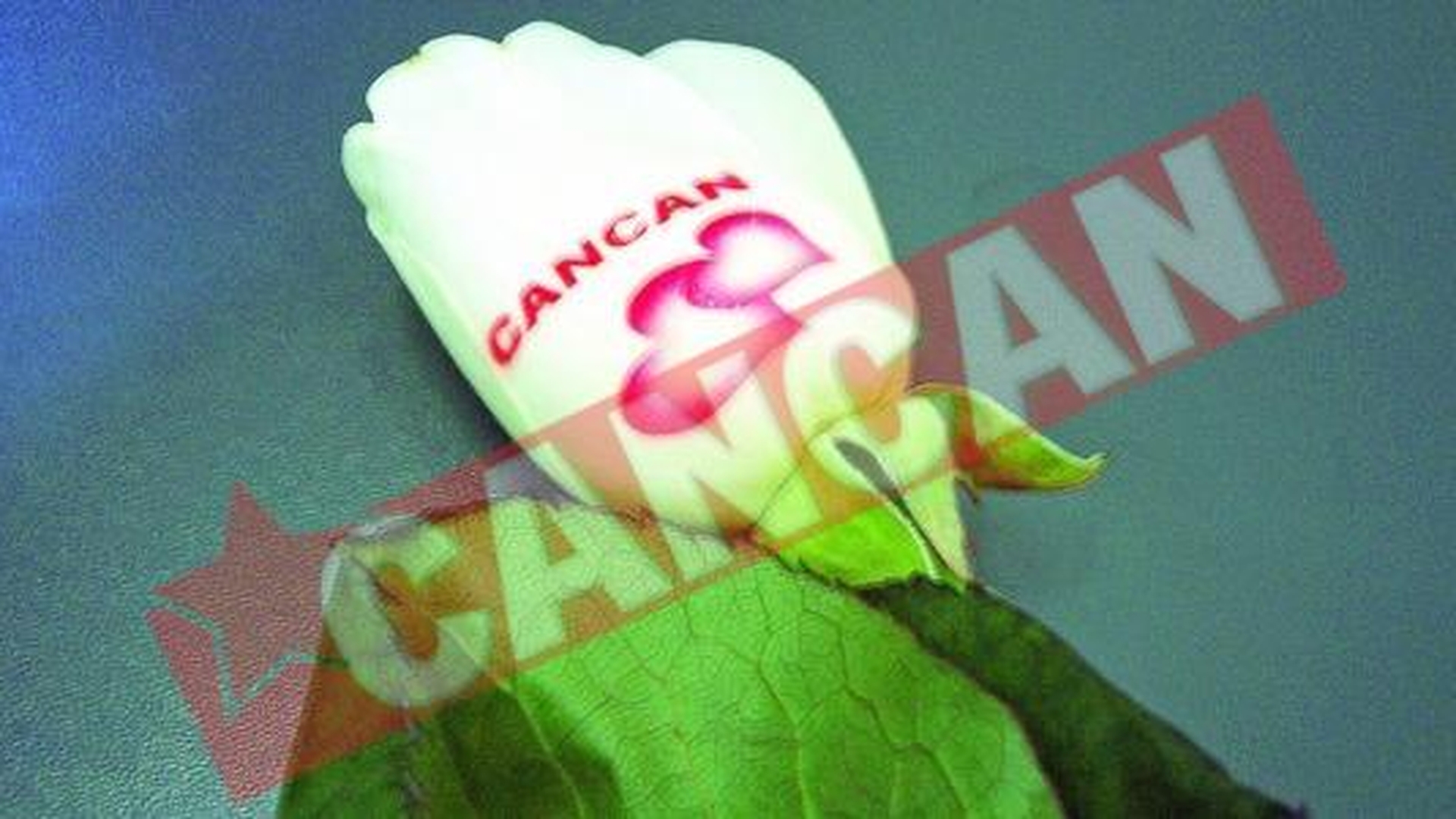 CANCAN, cel mai iubit ziar din tara