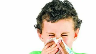 Cimbrul, leacul miraculos si natural!