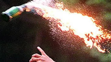 Atac cu sticle incendiare la casa unui om de afaceri din Iasi