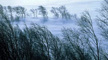 Avertizare de vant puternic in 20 de judete!