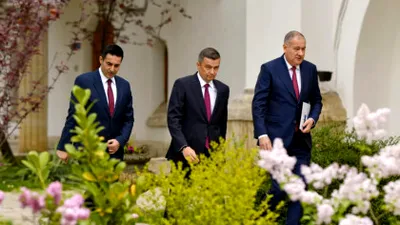 Stenograme ședința PSD. Grindeanu: „Bolojan a ieșit la racolat de parlamentari”. Lia Olguța Vasilescu: „Trebuie să arătăm că avem sânge în instalație”