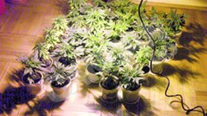 Un barbat de 33 de ani isi facuse un laborator de preparare a drogurilor in locuinta din Bucuresti