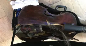 Galerie foto - poza 2