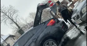 Galerie foto - poza 2