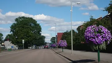 Se vând terenuri la doar câțiva cenți pe metru pătrat. Motivul pentru care autoritățile au luat această măsură drastică