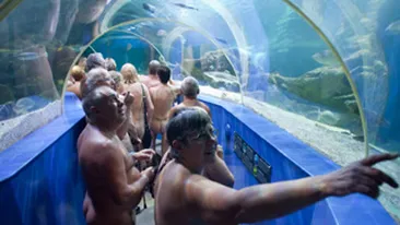 S-au dus goi pusca in vizita la acvariu