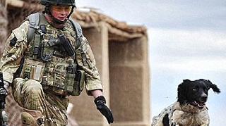 Cainele unui soldat ucis in Afganistan a murit de inima rea