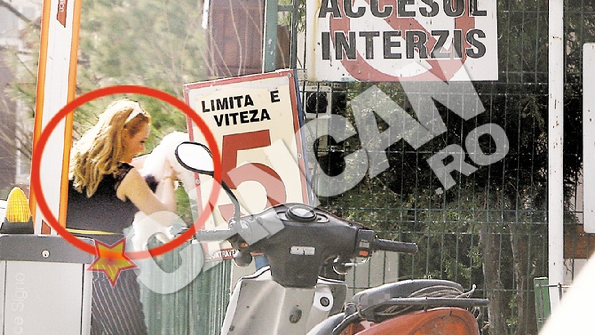 Dana, imblanzitoare de fiare. Savuica a plasat un caine pe " interzis"