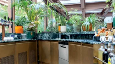 Mașini de spălat vase profesionale – Soluția ideală pentru eficiență și igienă (P)