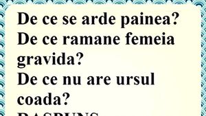 BANCUL ZILEI | De ce se arde pâinea?