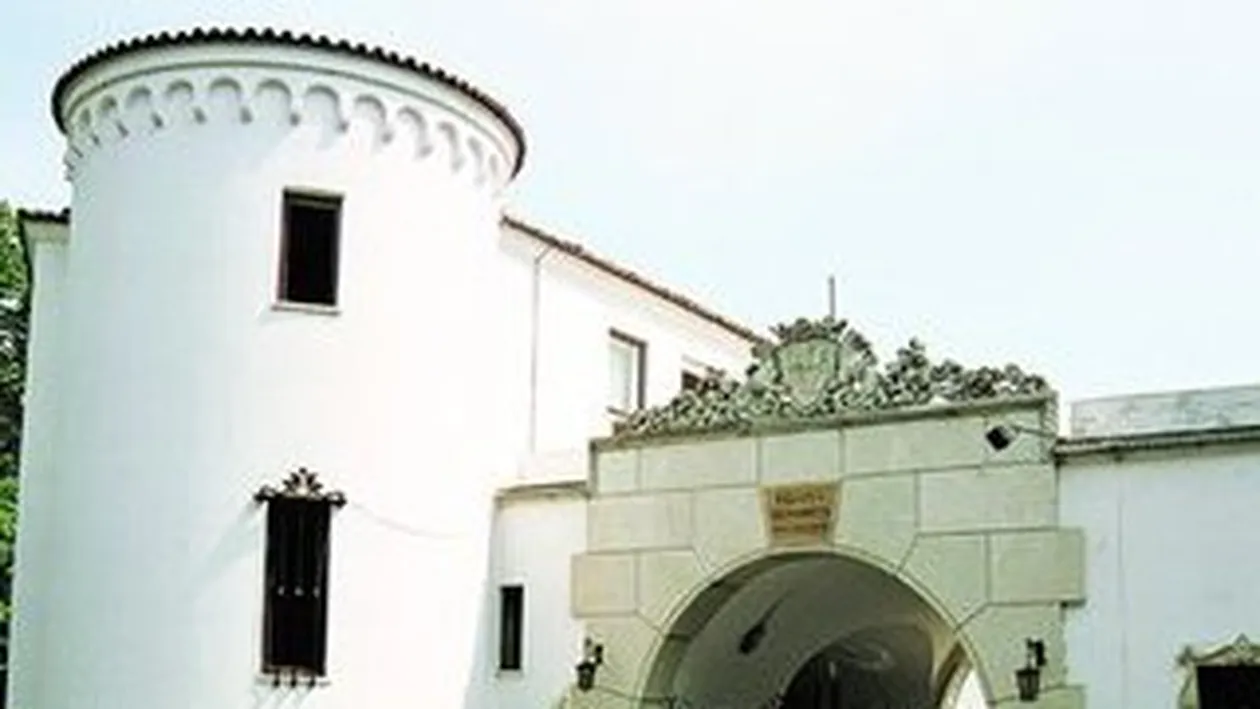 Palatul Elisabeta, resedinta regala