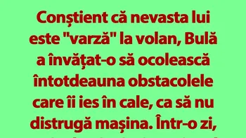 BANC | Bulă și nevasta șoferiță