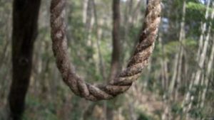 Marius Busuioc, găsit spânzurat în pădure. Ce mesaje stranii a postat înainte să plece de acasă